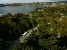 RealNZ coach travelling through lush native forest.
