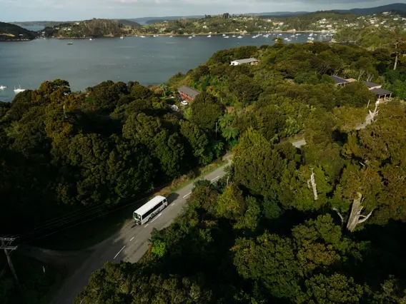 RealNZ coach travelling through lush native forest.