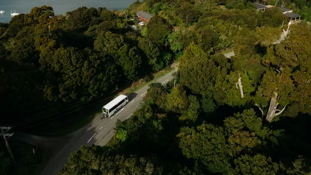 RealNZ coach travelling through lush native forest.