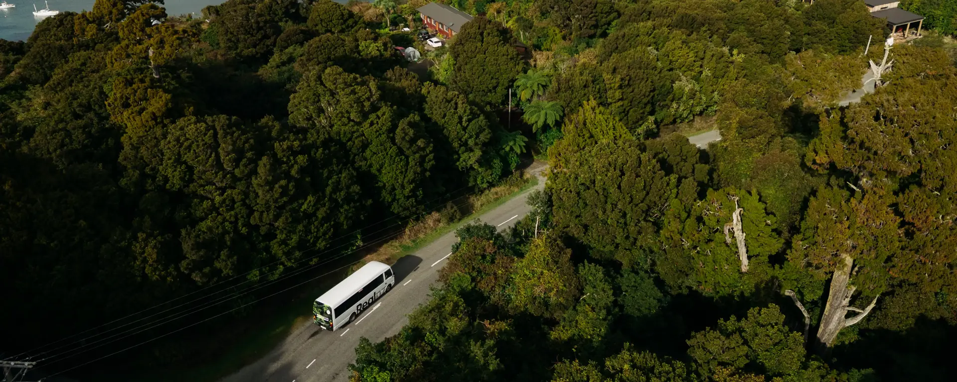 RealNZ coach travelling through lush native forest.