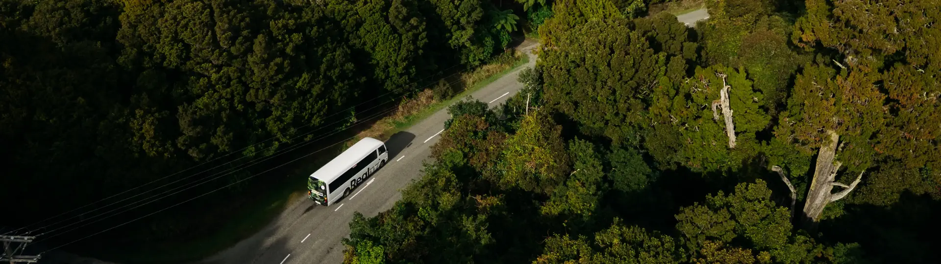 RealNZ coach travelling through lush native forest.
