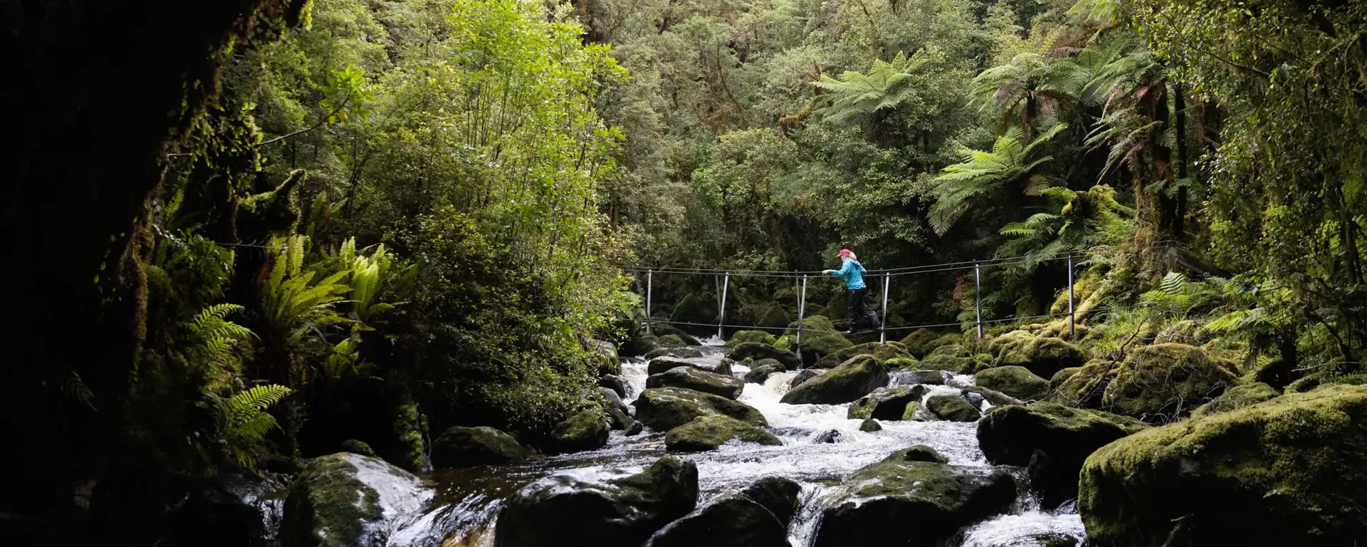 Stream flowing through lush native forest in Dusky Sound.