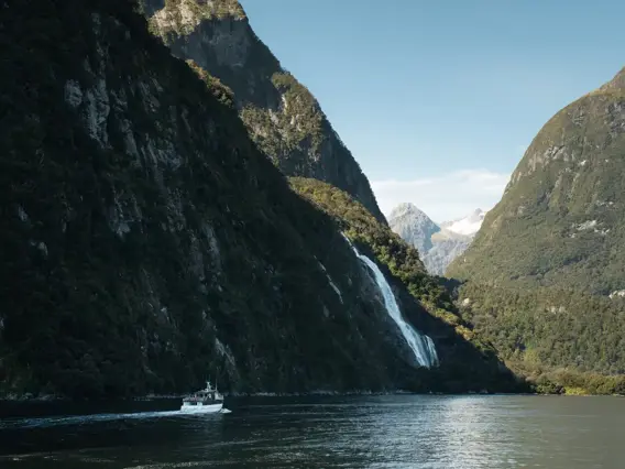 A RealNZ boat cruises through Milford Sound Fiordland towards a gushing waterfall on a blue sky day.