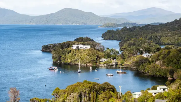 Aerial view of Stewart Island's coastal township, with homes tucked among native bush along a calm blue harbor, mountains in the distance.