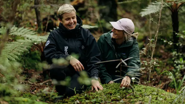 Two people exploring lush native forest.