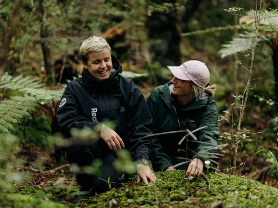 Two people exploring lush native forest.