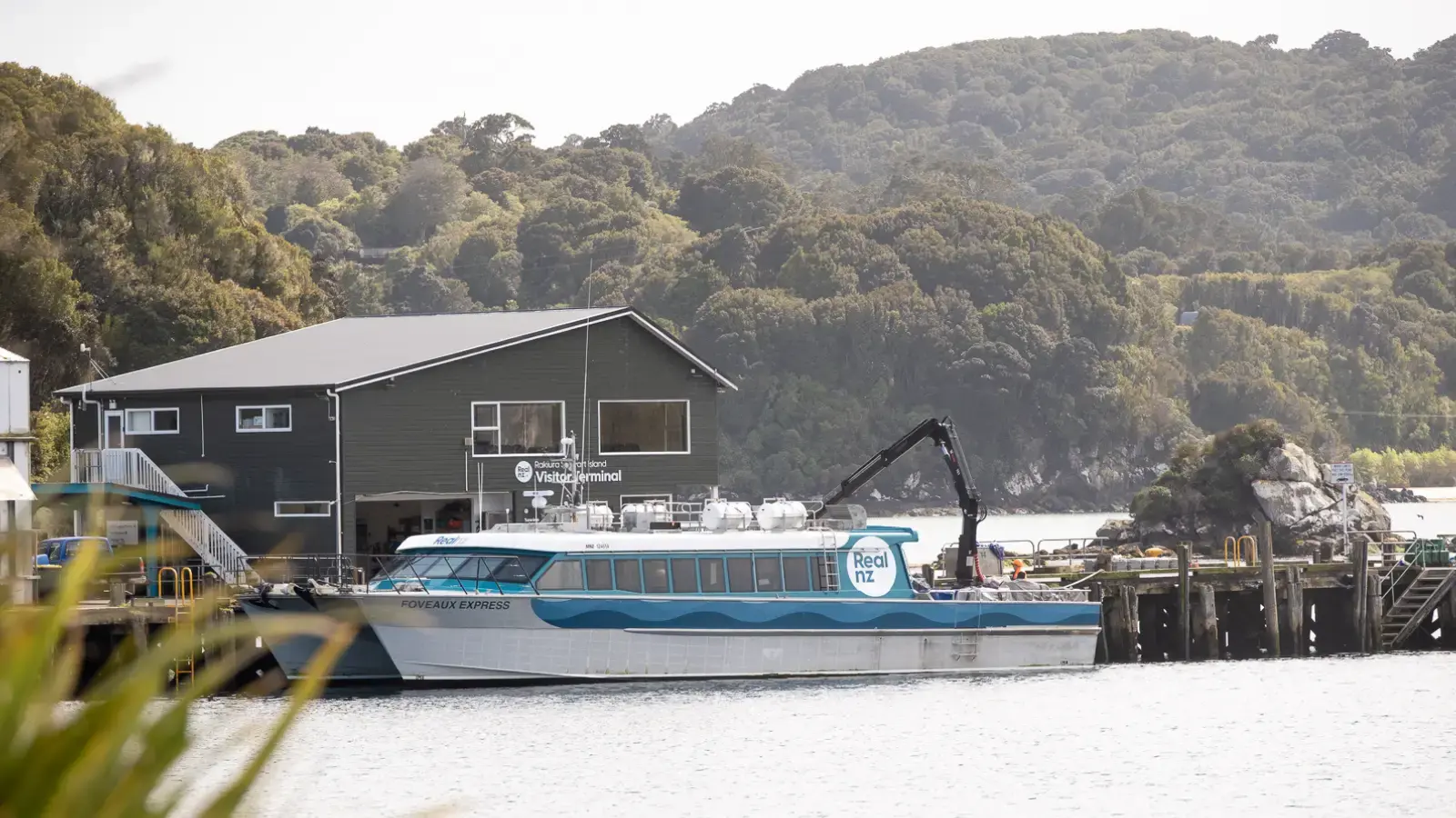 The Stewart Island Ferry catamaran docked at the Rakiura Stewart Island Visitor Terminal, with forested hills behind.