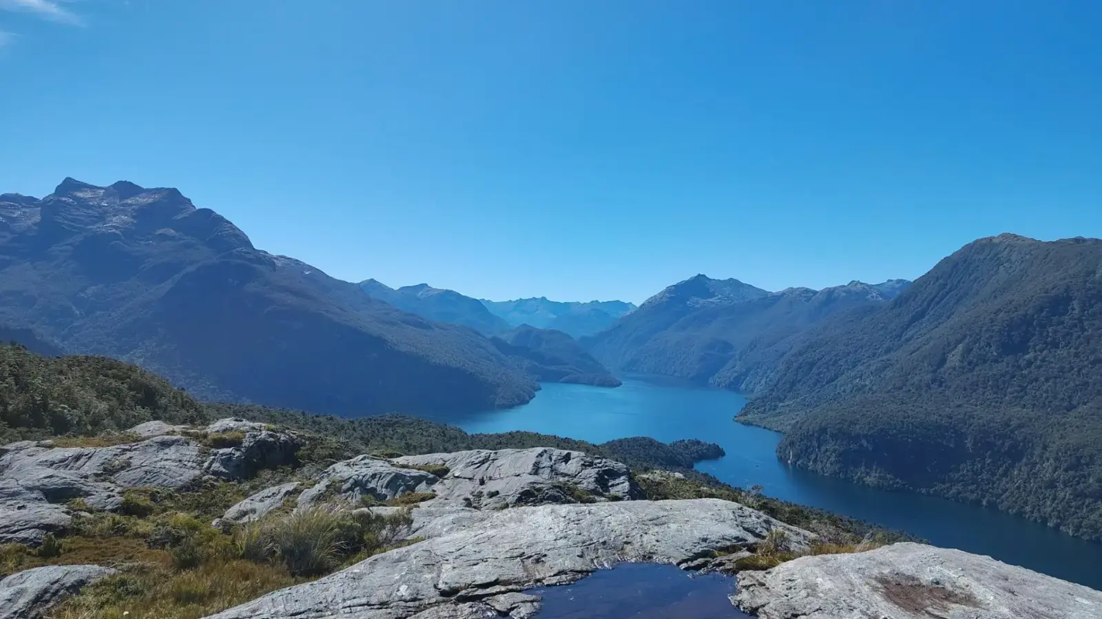 View from the top of Cooper Island, looking back on the Fiord of Dusky Sound on a clear blue sky day.