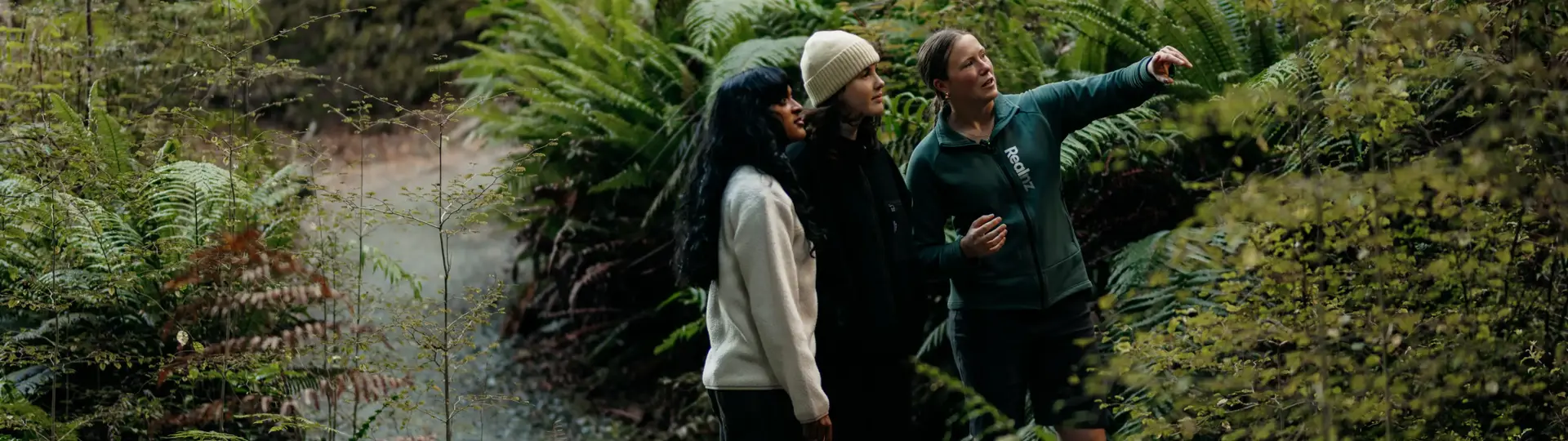 Three people exploring a fern-filled native forest near Te Anau.