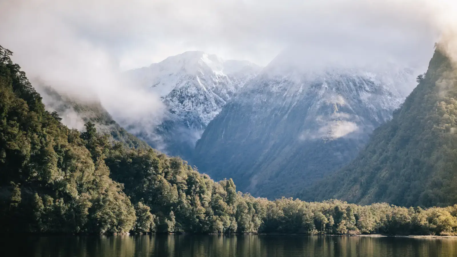 Scenic view of Doubtful Sound in the winter taken from the water, with green trees lining the water and towering mountains behind, dusted in snow.
