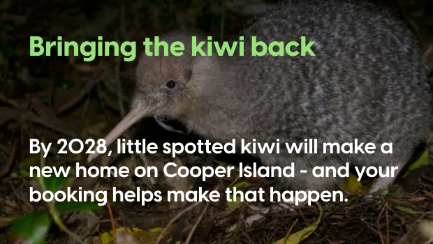 A little spotted kiwi foraging on the forest floor at night, with text reading "Bringing the kiwi back – By 2028, little spotted kiwi will be back on Cooper Island, and your booking helps make that happen."