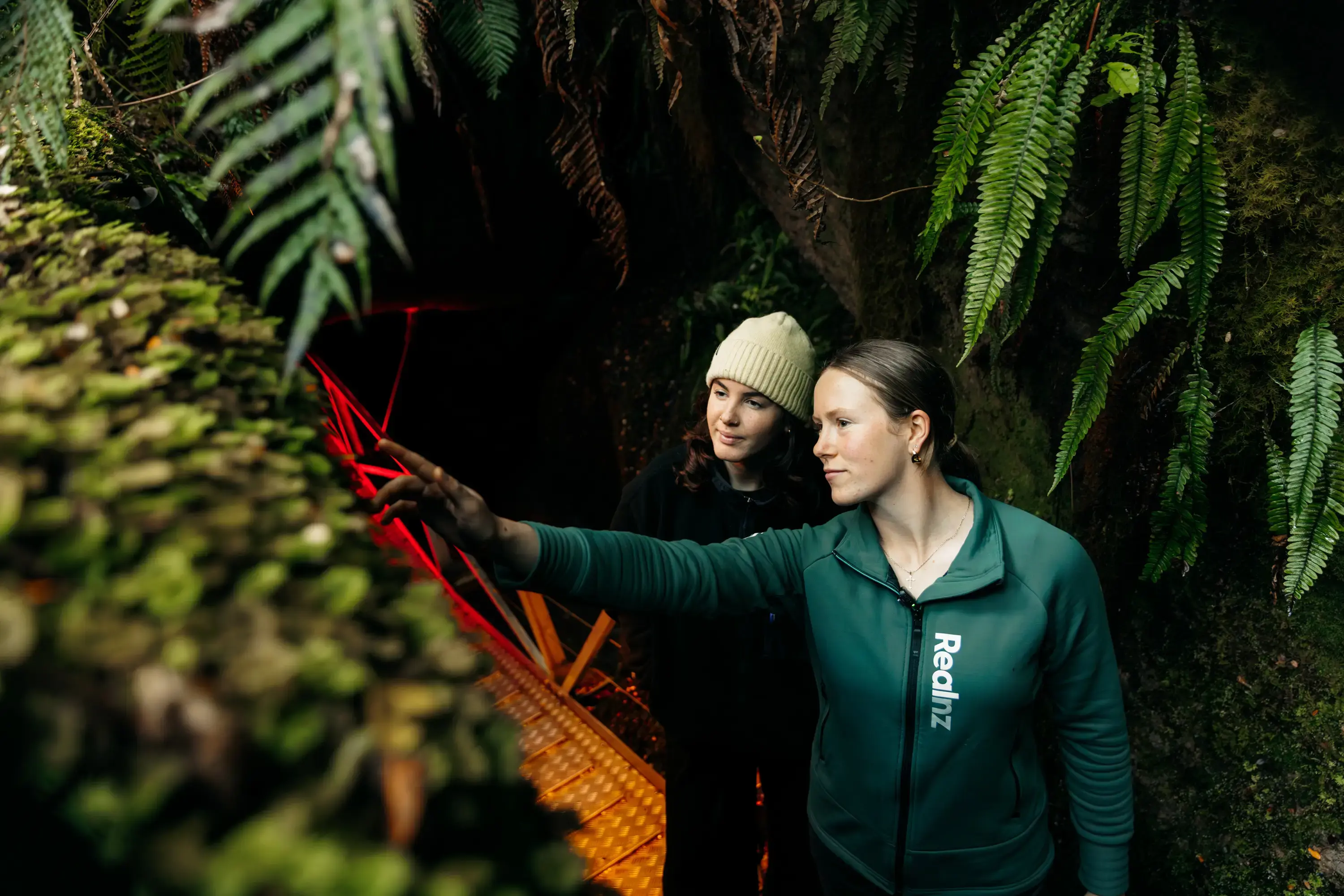 Guide pointing out native plants in the forest near the Te Anau Glowworm Caves.