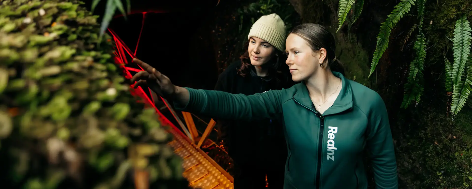Guide pointing out native plants in the forest near the Te Anau Glowworm Caves.