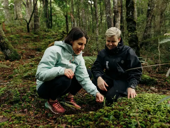 A guest and a guide explore plants on the native forest floor.