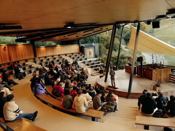 Guests watching a farm demonstration at Walter Peak.