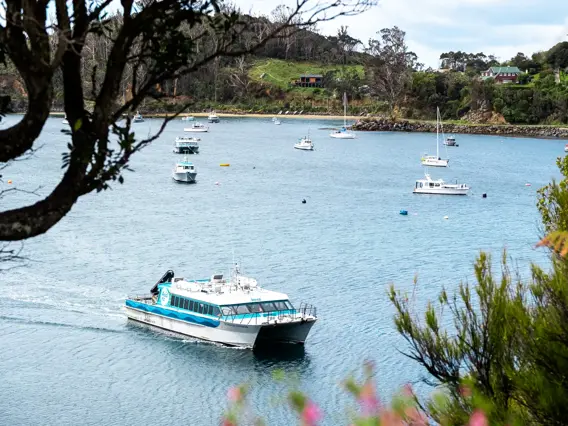 Passenger ferry travelling through a sheltered coastal harbour.