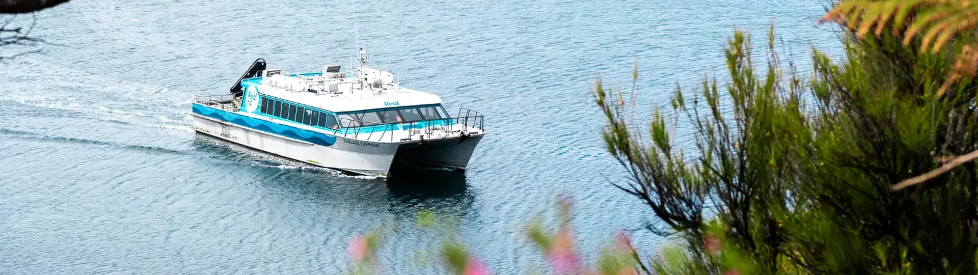 Passenger ferry travelling through a sheltered coastal harbour.